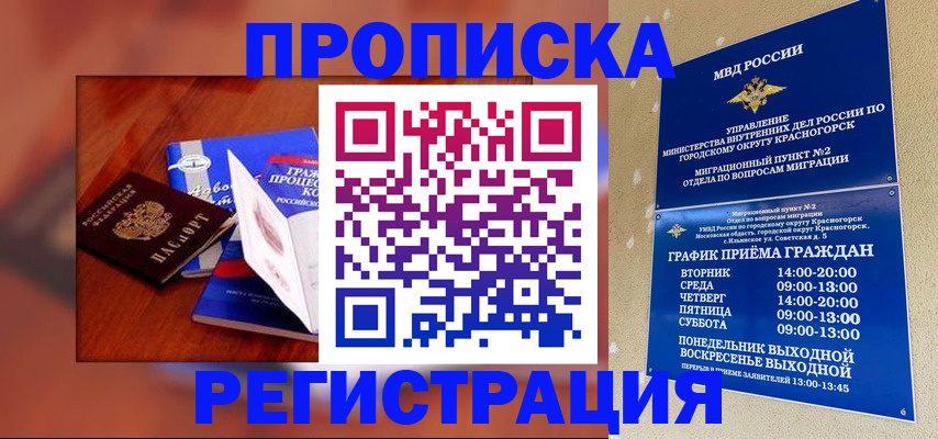 временная регистрация для школы в Николаевске-на-Амуре